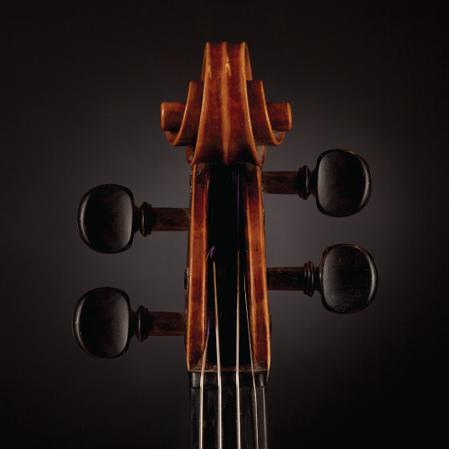 violin photo by Kaylyn Beaupray